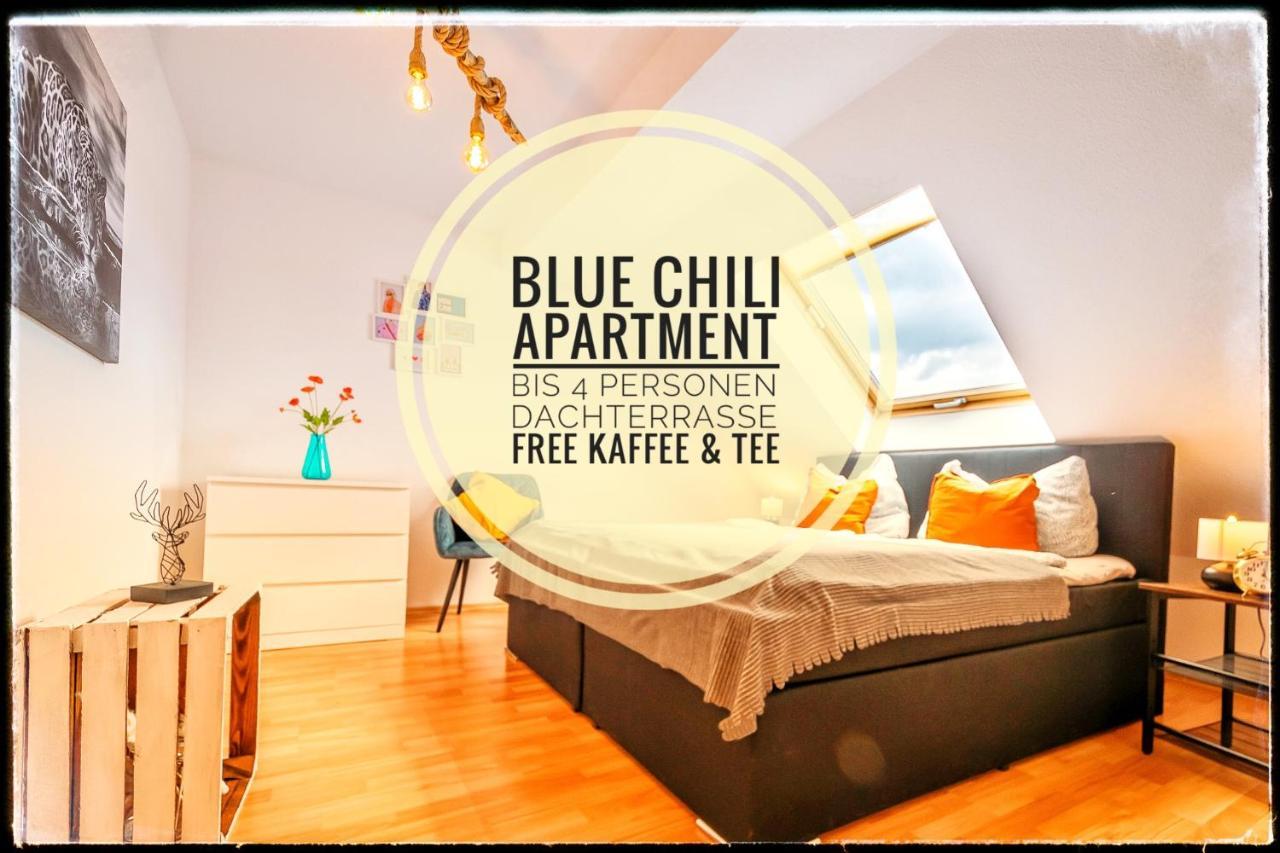 Blue Chili 19 Schoene Dachterasse Zentral Modern Bis 4 Pers Magdeburk Exteriér fotografie